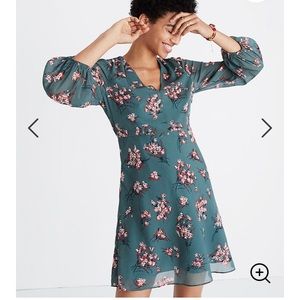 Madewell marguerite dress butterfly garden size 4